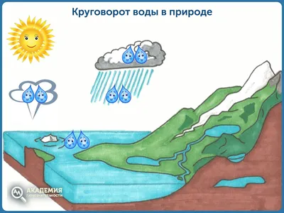 Круговорот воды в природе", Окружающий мир 3 класс ч.1, с.41-42, Планета  знаний. - YouTube