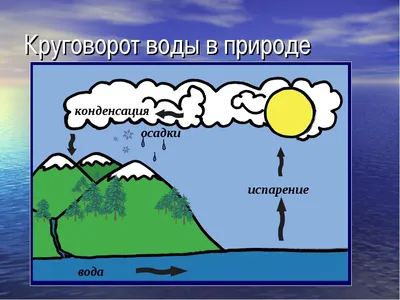 Круговорот воды в природе простыми словами | Ты серьезно? Не верю! | Дзен