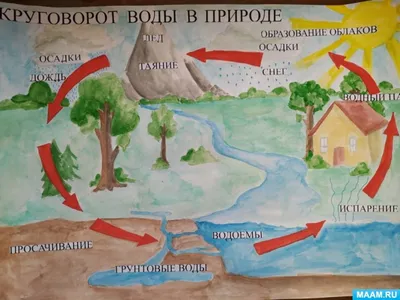 круговорот воды, The Water Cycle for Schools, Russian | U.S. Geological  Survey