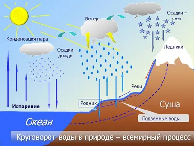 раскраска круговорот воды в природе простой вариант — Яндекс: нашлось 7 млн  результатов | Круговорот воды в природе, География, Раскраски