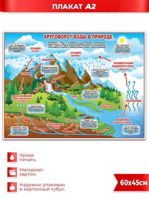 Плакат "Круговорот воды в природе" А2 (1258742) - Купить по цене от   руб. | Интернет магазин 