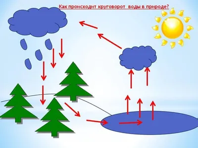 Круговорот воды в природе - это процесс, в воде постоянно перемещается  между местами и местами, средами, средами, почвами,.. | ВКонтакте