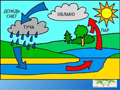 Круговорот воды в природе. Физика 7 класс. | Накагава Иван | Дзен