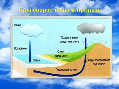 Круговорот Воды В Природе Рисунок 5 Класс (46 Фото)