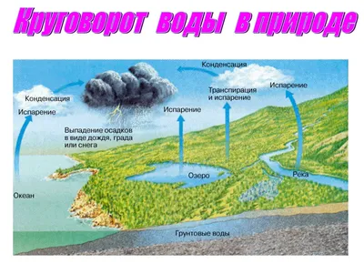 Поделка "Круговорот воды в природе" | Просто поделки | Дзен