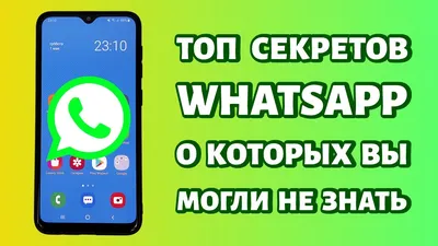 WhatsApp передумал по поводу «видеокружочков». Что произошло | РБК Life