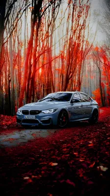 BMW HD wallpaper for phone. in 2023 | Bmw, Sports car wallpaper, Car  wallpapers