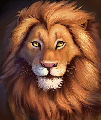 Pin de Chuli Snaki en Leo's | Tatuajes de animales, Tatuajes de cabeza de  león, Fotografía de león