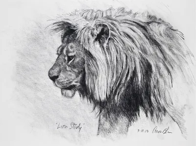 Картинки для срисовки лев - 77 фото