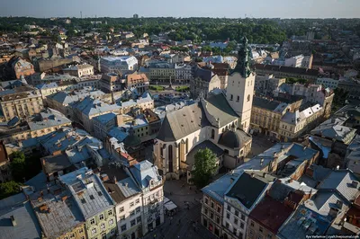 Красочные наклейки с изображением головы льва, крутая наклейка на бампер,  водонепроницаемая смешная наклейка на бампер для грузовика, ноутбука,  мотоцикла, автомобиля | AliExpress