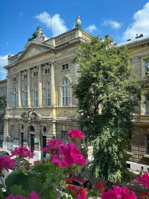 черно белый портрет льва с длинными волосами, картины льва на стену, лев,  животное фон картинки и Фото для бесплатной загрузки