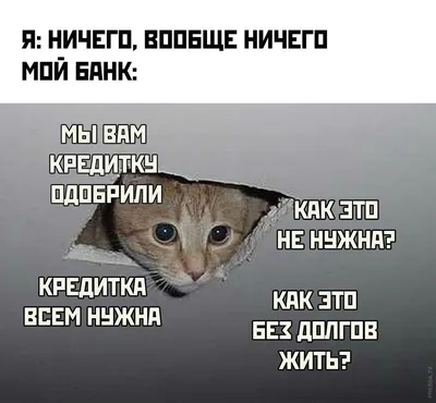 Крутая обезьяна #мем #смехдослез #смех #приколы #прикол #смешноевидео ... |  TikTok