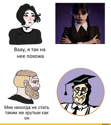 ВКонтакте» и Memepedia объявили самые популярные мемы года | Enter