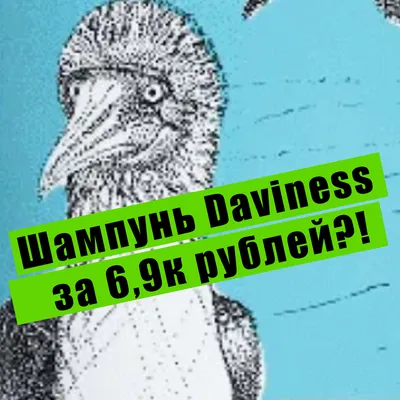 Бёрдстрайк: что будет, если птица попадёт в двигатель | Почемучкин | Дзен