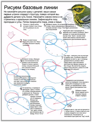 Милый куриный шлем для маленьких домашних животных Птица утка головной убор  шапки Защита головы для птицы головной шлем крутые товары для домашних  животных новое поступление | AliExpress