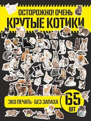 Наклейки стикеры кошки, котики, наклейки коты, детские yutti 70111439  купить за 243 ₽ в интернет-магазине Wildberries