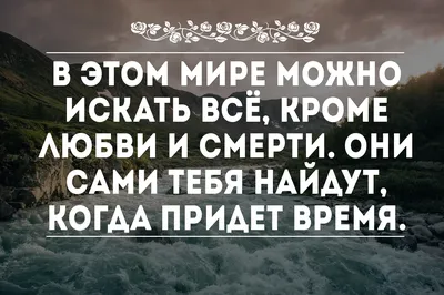 Картинки с надписью мне можно (48 фото) » Юмор, позитив и много смешных  картинок