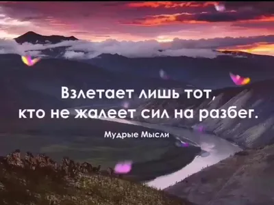 водолей #водолейзнакзодиака #svoya_tik | TikTok