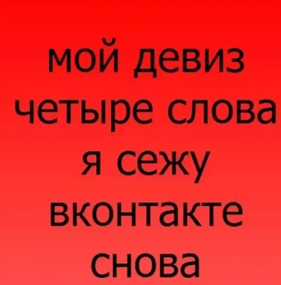 vk (ВКонтакте, ВК) / смешные картинки и другие приколы: комиксы, гиф  анимация, видео, лучший интеллектуальный юмор.