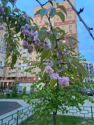 крутой и модный. школа и мода. ребенок в школьной форме. малыш во  французском берете на желтом фоне. стильный подросток Стоковое Изображение  - изображение насчитывающей коллеж, счастливо: 223440067