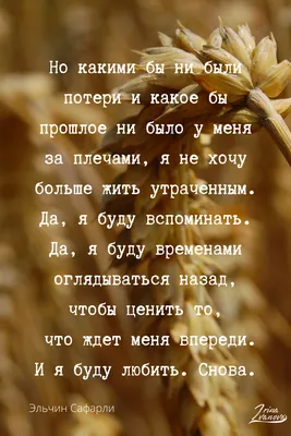 10 крылатых выражений, за которыми стоит целая история (Про медвежью услугу  неожиданно) / AdMe