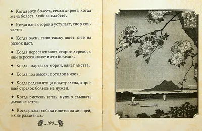 Как нейросеть видит "крылатые выражения". Показываю, что у меня получилось.  | Фотолюб❤ | Дзен