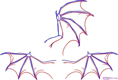 крылья дракона: 20 тыс изображений найдено в Яндекс.Картинках | Dragon  drawing, Dragon wings, Wings drawing