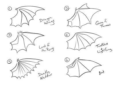 крылья дракона | Рисунки драконов, Рисунки, Крылья