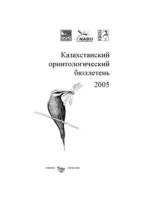 Казахстанский орнитологический бюллетень 2006 by Dmitriy Denisov - Issuu