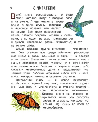 Птицы в городе: кого можно увидеть и услышать в Ставрополе?