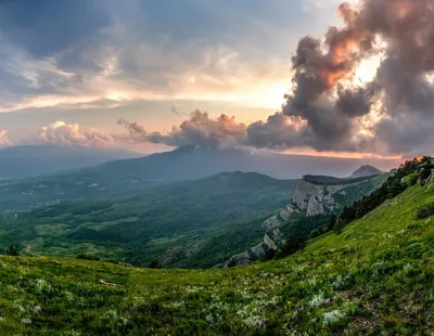 Чай крымский, 180 г. Дары крымских гор. Голубой бант - Аппетит Востока-  Рахат лукум, крымские травяные чаи, купить оптом и в розницу