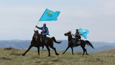 Крымскотатарский флаг. Впервые флаг был принят Курултаем крымских татар в  1917 году. В 1991 году вновь созванным Курултаем этот флаг был повторно п…  | Флаг, Артбуки