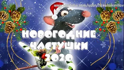 В чем встречать 2020 год Крысы — актуальные советы для всех знаков зодиака  (Фото) - Gisher News