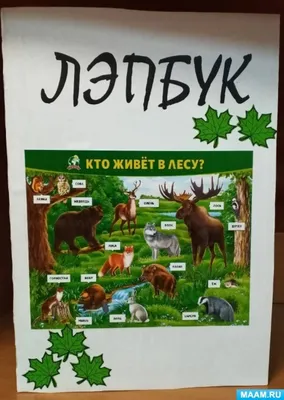 Книга Кто живет в лесу - Василий Федиенко (9789664295748) – купить в  Украине | ROZETKA | Выгодные цены, отзывы покупателей