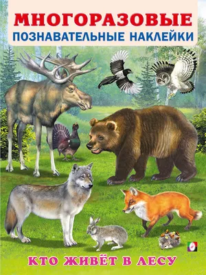 Как рассказать ребенку кто живет в лесу