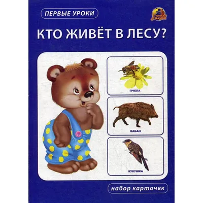 Кто живет в лесу? Набор карточек (6843251) - Купить по цене от  руб. |  Интернет магазин 