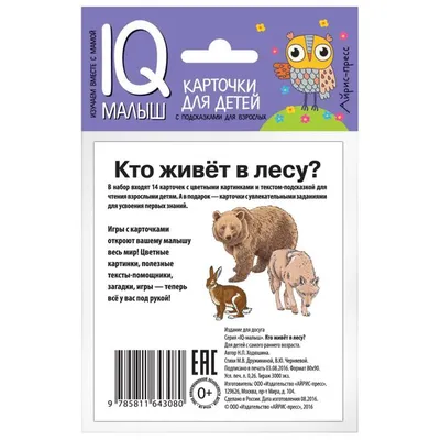 Набор карточек для детей «Кто живёт в лесу?». Ходюшина Н. П. в Бишкеке  купить по ☝доступной цене в Кыргызстане ▶️ 