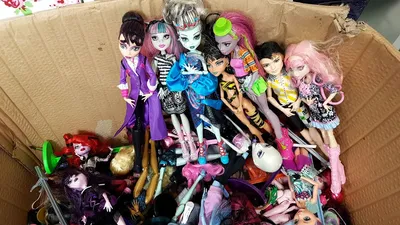 Monster High Robecca Steam (Робекка Стим, базовая с питомцем)Магазин  "Лэйфурт"