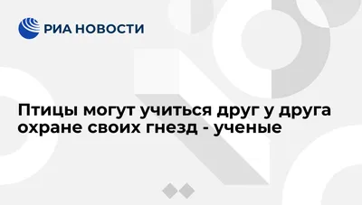 Птицы могут учиться друг у друга охране своих гнезд - ученые - РИА Новости,  