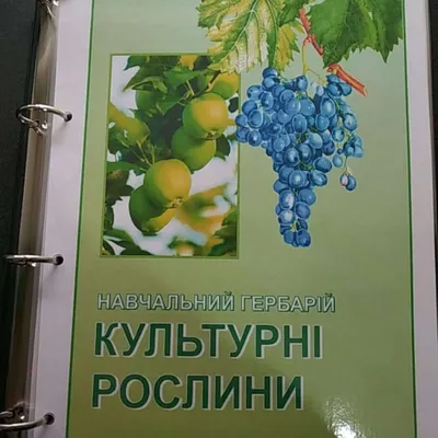 Гербарий Культурные растения (28 видов) (id 55230898)