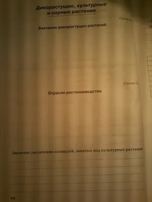 Культурные растения, магазин цветов, Гвардейская ул., 18Б, Саратов — Яндекс  Карты