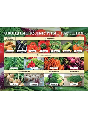 😃 Культурные растения их названия и фото.