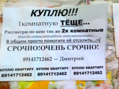 Самые креативные объявления о продаже недвижимости на портале  —  последние Новости на Realt