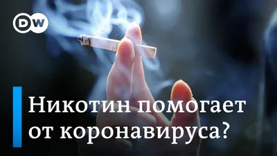 ЗакС одобрил штрафы за курение в коммуналках и общежитиях Петербурга