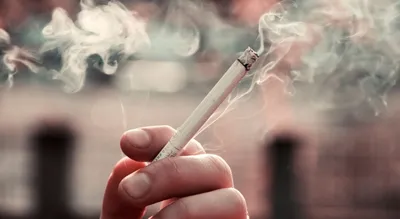 Оценено влияние курения на психику людей.  г. Кубанские  новости