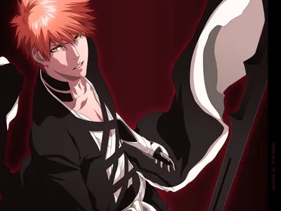 Раcкрашенный лайнарт по Аниме «Блич» — Куросаки Ичиго (Bleach Manga  «Kurosaki Ichigo» 800*606) | Блог yesterdayy