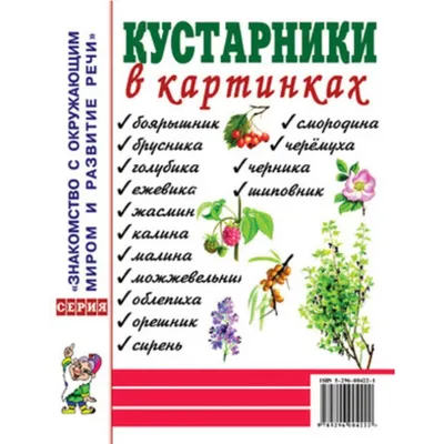 Подборка 5 лучших сортов деревьев и кустарников для детского сада -  ЦентроСад