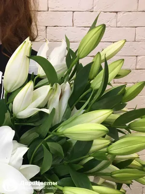 Букет из лилии, орхидей и кустовых хризантем купить в Москве недорого |  Бесплатная доставка