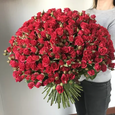 Розовые кустовые розы | Boquette flowers, Luxury flowers, Pretty flowers