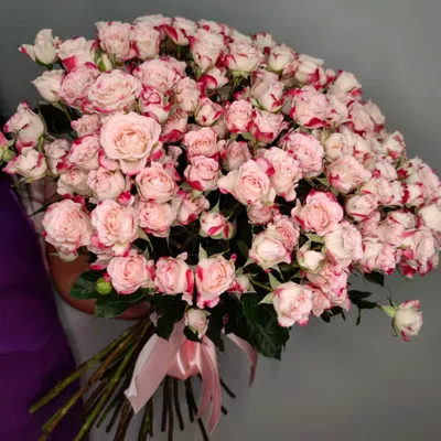 Кустовые розы Коралловые - Акция на цветы 25 Роз - 2500 руб. Доставка по  Балашихе Бесплатно!!!